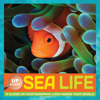 Book Cover for Sea Life by Heidi Fiedler