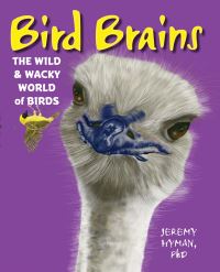Book Cover for Bird Brains by Jeremy Hyman