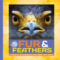 Book Cover for Fur & Feathers by Heidi Fiedler