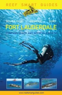 Book Cover for Fort Lauderdale Pompano Beach and Deefrield Beach by Ian Popple, Peter McDougall