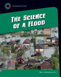 Book Cover for The Science of a Flood by Jamie Weil