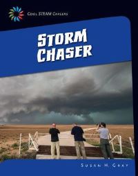Book Cover for Storm Chaser by Susan H Gray