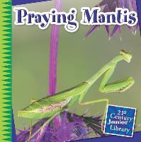 Book Cover for Praying Mantis by Tamra Orr