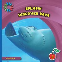 Book Cover for Discover Rays by Susan Heinrichs Gray