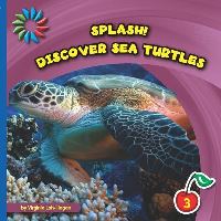 Book Cover for Discover Sea Turtles by Virginia LohHagan