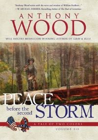 Book Cover for Peace Before the Second Storm by Anthony Wood