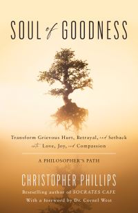 Book Cover for Soul of Goodness by Christopher Phillips