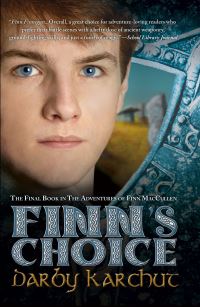 Book Cover for Finn's Choice by Darby Karchut
