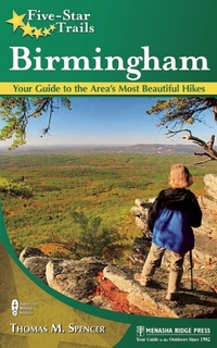 Book Cover for Birmingham by Thomas M Spencer