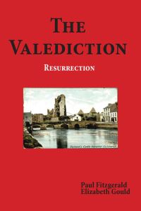 Book Cover for The Valediction by Paul Fitzgerald, Elizabeth Gould