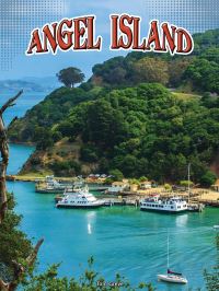 Book Cover for Angel Island by Meg Greve
