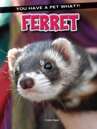 Book Cover for Ferret by Cristie Reed