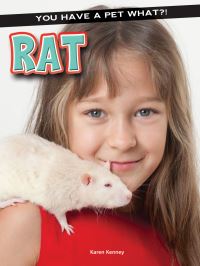 Book Cover for Rat by Karen Kenney