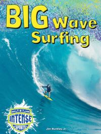 Book Cover for Big Wave Surfing by Jim Buckley