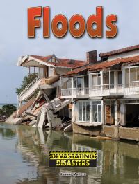 Book Cover for Floods by Joanne Mattern