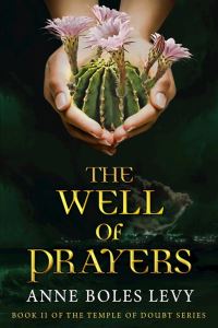 Book Cover for The Well of Prayers by Anne Boles Levy