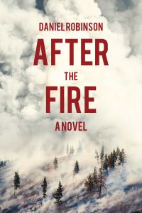 Book Cover for After the Fire by Daniel Robinson