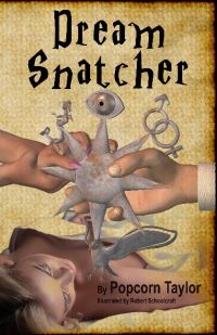 Book Cover for Dream Snatcher by Popcorn Taylor