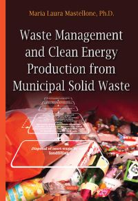 Book Cover for Waste Management and Clean Energy Production from Municipal Solid Waste by Maria Laura Mastellone