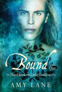 Book Cover for Bound, Vol. 1 by Amy Lane