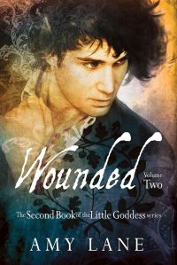 Book Cover for Wounded, Vol. 2 by Amy Lane