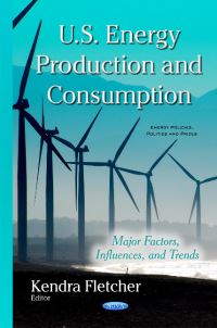 Book Cover for U.S. Energy Production and Consumption by Kendra Fletcher