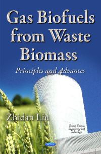Book Cover for Gas Biofuels from Waste Biomass by Zhidan Liu