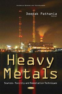 Book Cover for Heavy Metals by Deepak Pathania