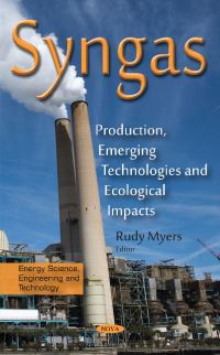 Book Cover for Syngas by Rudy Myers