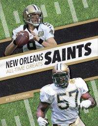 Book Cover for New Orleans Saints by Ted Coleman