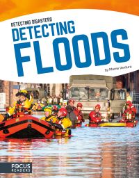 Book Cover for Detecting Floods by Marne Ventura