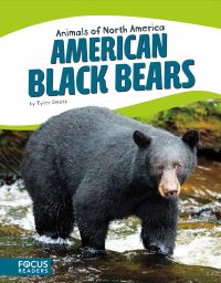 Book Cover for American Black Bears by Tyler Omoth