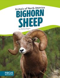 Book Cover for Bighorn Sheep by Tammy Gagne