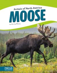 Book Cover for Moose by Christy Mihaly