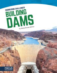 Book Cover for Building Dams by Nikole Brooks Bethea