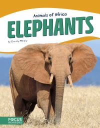 Book Cover for Elephants by Christy Mihaly