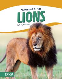 Book Cover for Lions by Mary Meinking