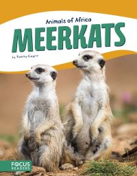 Book Cover for Meerkats by Tammy Gagne
