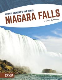 Book Cover for Niagara Falls by Lisa M Bolt Simons