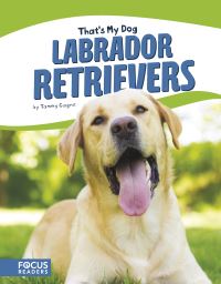 Book Cover for Labrador Retrievers by Tammy Gagne