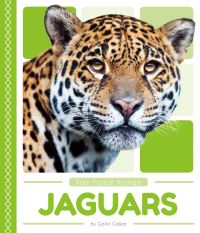 Book Cover for Jaguars by Golriz Golkar