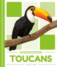 Book Cover for Toucans by Golriz Golkar