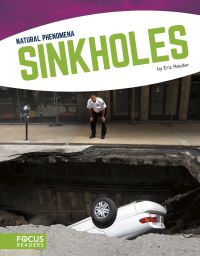 Book Cover for Sinkholes by Eric Reeder