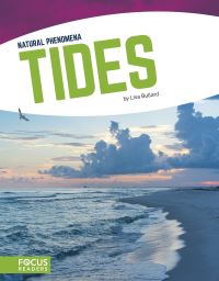 Book Cover for Tides by Lisa Bullard