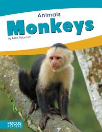 Book Cover for Monkeys by Nick Rebman