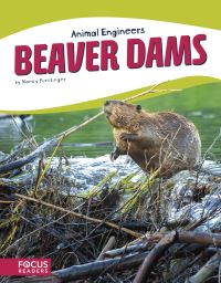 Book Cover for Beaver Dams by Nancy Furstinger