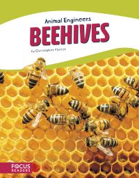 Book Cover for Beehives by Christopher Forest