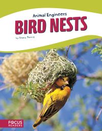 Book Cover for Bird Nests by Stacy Tornio