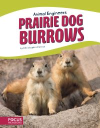 Book Cover for Prairie Dog Burrows by Christopher Forest