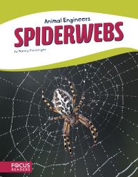 Book Cover for Spiderwebs by Nancy Furstinger